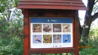 IMG_2513.jpg, 23kB